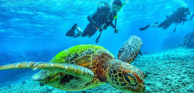 Sharm El-Sheikh