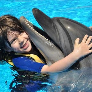 Dolphin Show