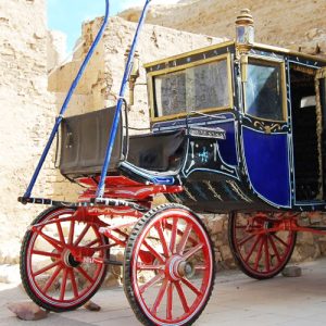 Marsa Alam Cultural & Historical Tours