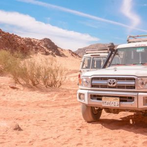 Marsa Alam Safari Trips