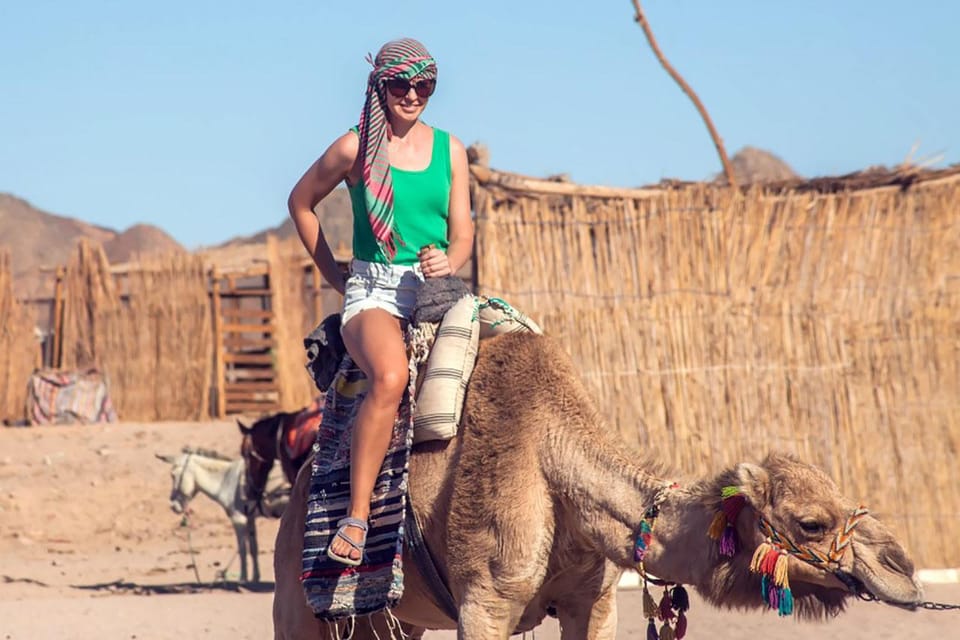 Sharm El-Sheikh Safari Trips