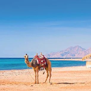 Marsa Alam