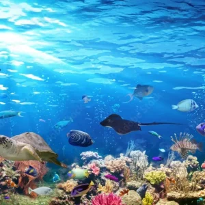 Hurghada Sea Trips