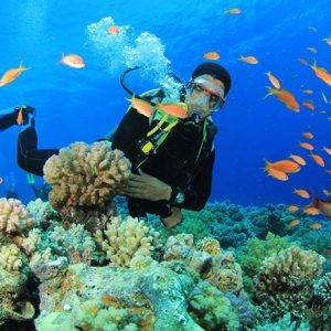 Red Sea Diving Adventure