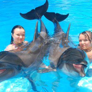 Swim with Dolphins at Dolphina Park